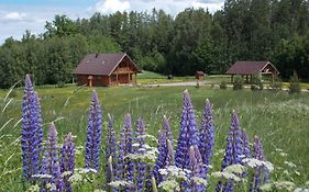 Guest House Kalnini
